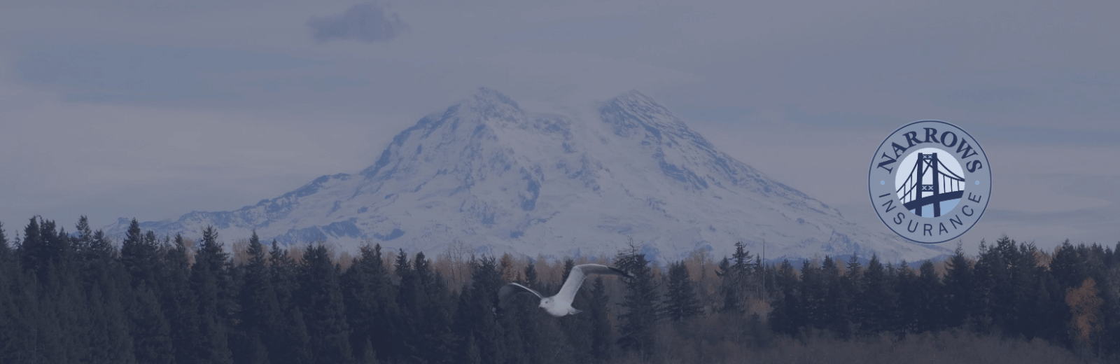 Gig Harbor Marina - Gig Harbor, WA - Home of Narrows Insurance