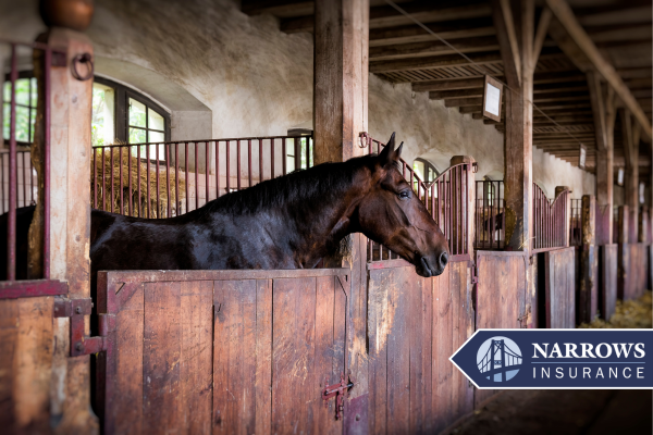 horse stable