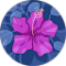 Nicole Boatner Avatar