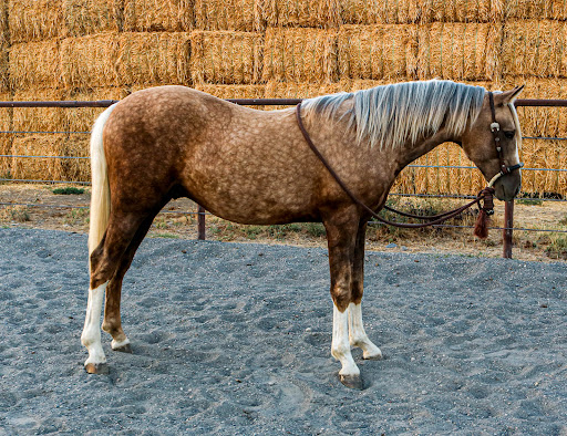 Health Insurance | Your health is your most valuable asset, and our tailored insurance plans are designed to prioritize your unique needs. Whether you're seeking coverage with specific insurers or exploring additional options on the Washington State HealthPlan Finder, we're here to guide you. Discover the flexibility to choose plans that suit your lifestyle, and embark on a journey towards comprehensive and individualized health coverage. Your well-being is our priority, and we're committed to helping you navigate the path to a healthier, more secure future. media thumbnail 0