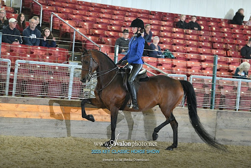 Health Insurance | Your health is your most valuable asset, and our tailored insurance plans are designed to prioritize your unique needs. Whether you're seeking coverage with specific insurers or exploring additional options on the Washington State HealthPlan Finder, we're here to guide you. Discover the flexibility to choose plans that suit your lifestyle, and embark on a journey towards comprehensive and individualized health coverage. Your well-being is our priority, and we're committed to helping you navigate the path to a healthier, more secure future. media thumbnail 2