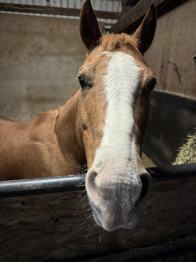 Health Insurance | Your health is your most valuable asset, and our tailored insurance plans are designed to prioritize your unique needs. Whether you're seeking coverage with specific insurers or exploring additional options on the Washington State HealthPlan Finder, we're here to guide you. Discover the flexibility to choose plans that suit your lifestyle, and embark on a journey towards comprehensive and individualized health coverage. Your well-being is our priority, and we're committed to helping you navigate the path to a healthier, more secure future. media thumbnail 0