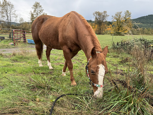 Health Insurance | Your health is your most valuable asset, and our tailored insurance plans are designed to prioritize your unique needs. Whether you're seeking coverage with specific insurers or exploring additional options on the Washington State HealthPlan Finder, we're here to guide you. Discover the flexibility to choose plans that suit your lifestyle, and embark on a journey towards comprehensive and individualized health coverage. Your well-being is our priority, and we're committed to helping you navigate the path to a healthier, more secure future. media thumbnail 1